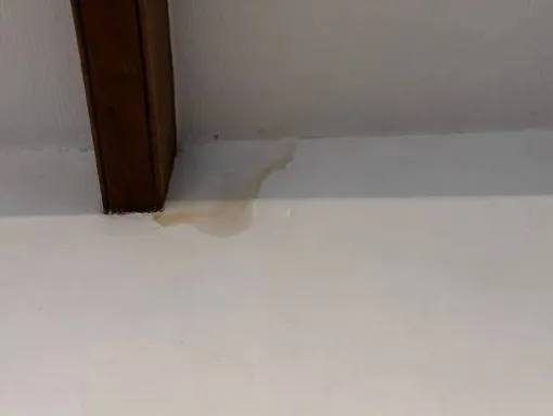 DE L’EAU COULE DU PLAFOND : QUE FAIRE DANS LES 10 PREMIÈRES MINUTES ?, Pantin, NESAYEM BTP