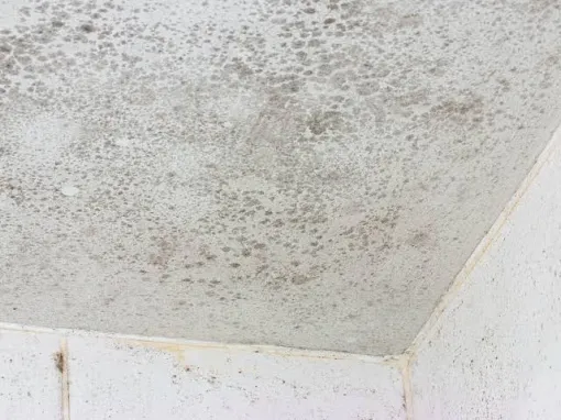 DÉGÂT DES EAUX : PLOMBIER, VOISIN, SYNDIC OU ASSURANCE, QUI APPELER EN PREMIER ?, Pantin, NESAYEM BTP