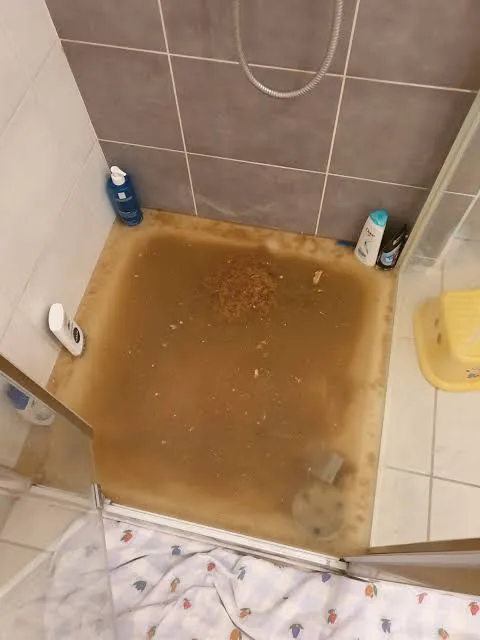 URGENCE ASSAINISSEMENT : Eaux usées qui remontent dans les toilettes ou la douche : que faire en urgence ?, Pantin, NESAYEM BTP