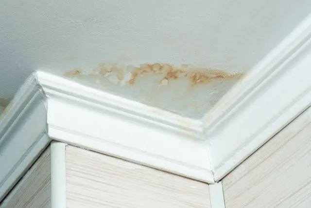 FUITE AU PLAFOND : que faire en urgence et comment trouver l’origine de la fuite ?, Pantin, NESAYEM BTP
